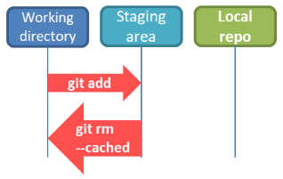 git rm --cached