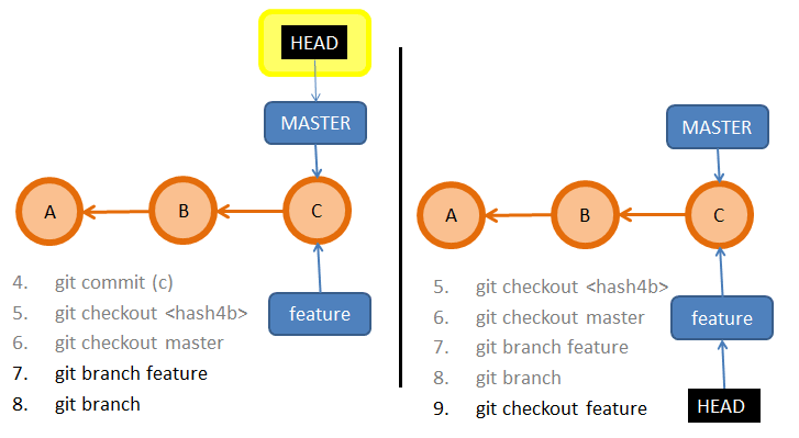 git branch