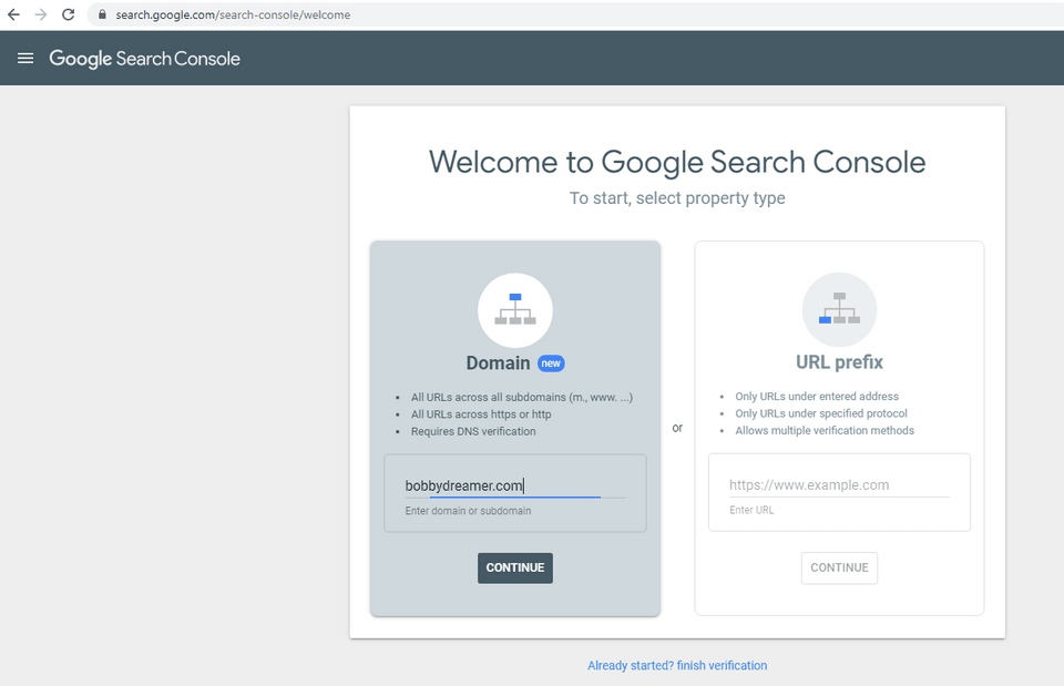 Google Search Console - Enter site name